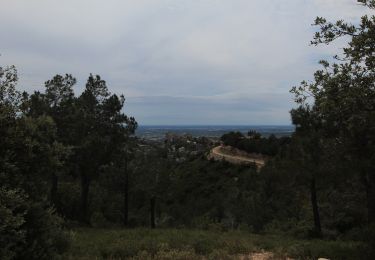 Trail Mountain bike Saint-Rémy-de-Provence - De saint Remy au baux de Provence . - Photo