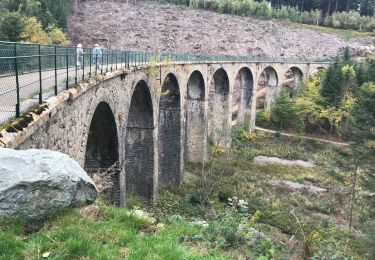 Randonnée Marche Les Ardillats - Col de crie au Viaduc (7,4 km - D. 173 m) - Photo