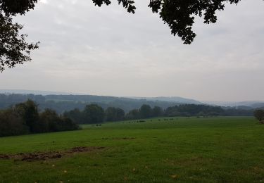 Tocht Stappen Ferrières - Logne (Vieuxville) - Izier - Ferrières - My - Photo