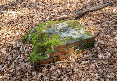 Randonnée A pied Lemgo - Rundwanderweg A1 [Lemgoer Mark] - Photo