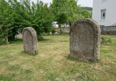 Tocht Te voet Diemelsee - Heringshausen H4 - Photo