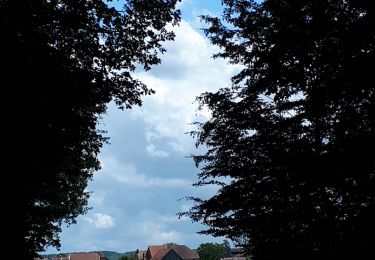 Tour Wandern Dammartin-Marpain - dammartin - Photo