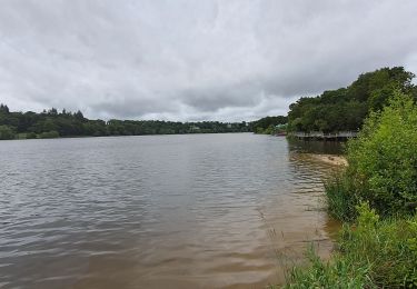 Percorso Marcia Jugon-les-Lacs Commune nouvelle - jugon le lac - Photo