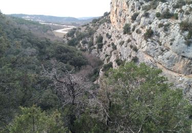 Trail Walking Saint-Julien - Le drapeau depuis Les Hugous+ petite incursion dans Malavalas - Photo