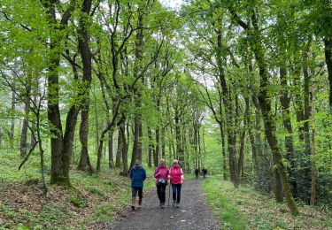 Tocht sport Chaudfontaine - Paul - Photo