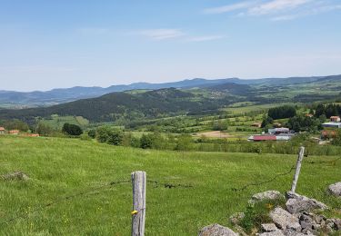 Randonnée Marche Le Puy-en-Velay - Chemin de Stenvenson 1 - Photo