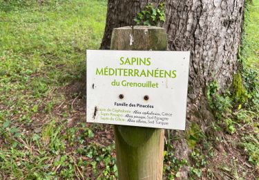 Randonnée Marche Gorniès - L’oppidum de la culasse - Photo