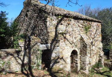 Trail Walking Gaujac - gaujac - Oppidum - Photo