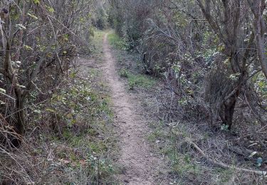 Tocht Stappen Mazan - Boucle NdA - Photo