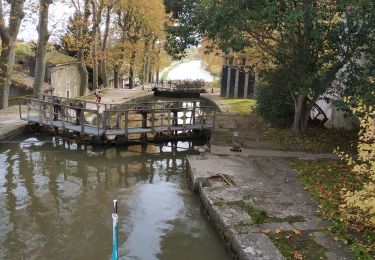 Trail Motorboat Mas-Saintes-Puelles - Jour 7-Retour vers Bram - Photo