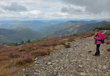 Tocht Stappen Pont de Montvert - Sud Mont Lozère - Florac - Photo
