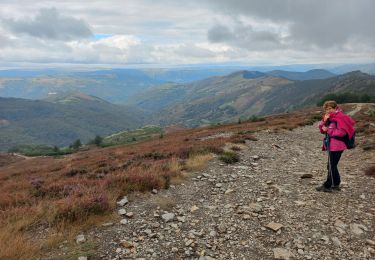 Excursión Senderismo Pont de Montvert - Sud Mont Lozère - Florac - Photo