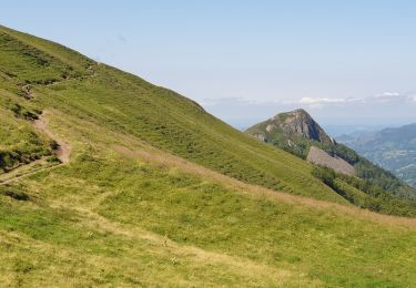 Tour Wandern Saint-Jacques-des-Blats - Puy Griou depuis le Col de Font de Cère - Photo