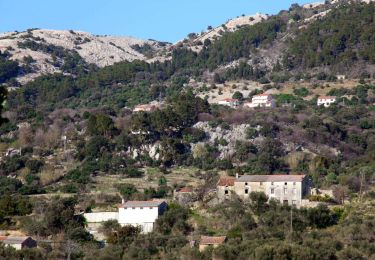 Tocht Te voet  - Kamenjak od uvale Mišnjak - Photo