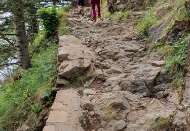 Tour Wandern Loudenvielle - La Clarabide et refuge de la soula - Photo