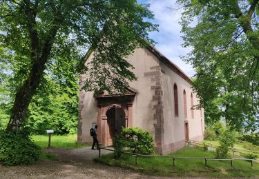 Tocht Stappen Ernolsheim-lès-Saverne - 2019-05-30 Marche Mt St Michel Ernolsheim les Saverne Reel - Photo