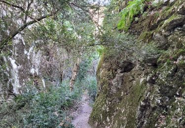 Randonnée Marche Cheval-Blanc - Les Gorges de Regalon - Photo