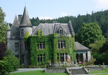 Randonnée Marche Onhaye - ONHAYE-FALAEN (PBVW) - Châteaux, roches et rivières- Les Ruines de Montaigle - Photo