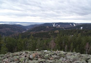 Percorso A piedi Jáchymov - [Ž] Popov – Lanovka na Klínovec - Photo