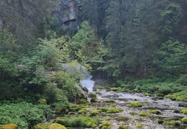 Trail Walking Mouthe - Mouthe Source du Doubs moyen by dal - Photo