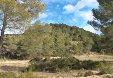 Randonnée Marche Meyrargues - Meyrargues Collet Redon - Photo