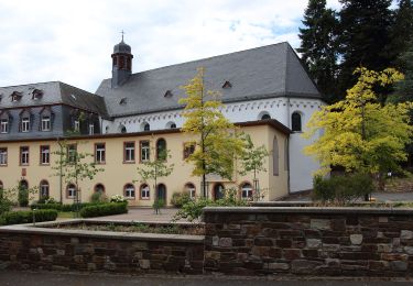 Percorso A piedi Rüdesheim am Rhein - Wanderweg gelber Balken - Photo