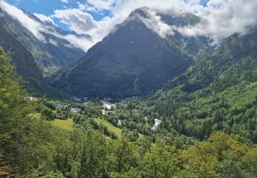 Randonnée Marche Les Deux Alpes - Ferraret village du Venosc - Photo