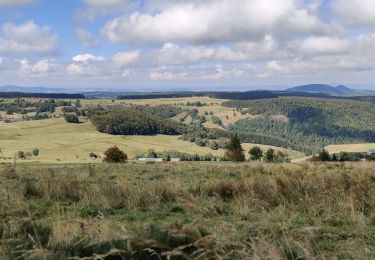 Trail Walking Les Estables - Rocher de Tourte - 02-09-2020 - Photo