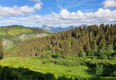 Randonnée Marche Villard-sur-Doron - Les Saisies - Grattary - Photo