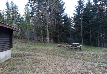 Tour Wandern Éloyes - 18-02-22 tête des cuveaux - Photo