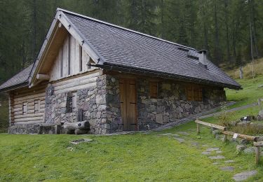 Percorso A piedi Telve di Sopra - Sentiero natura dell'Oasi di Valtrigona - Photo