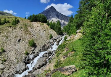 Trail Walking Saint-Paul-sur-Ubaye - cabane de la Blave - Photo