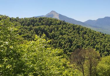 Excursión Senderismo Milhas - Rocher de Pène Nère (tentative...) - Photo