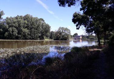 Tour Wandern Cléré-sur-Layon - Clere sur Layon - Photo