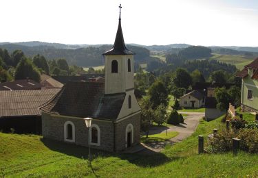 Tour Zu Fuß Gemeinde Groß Gerungs - Kierlingstein 32 - Photo