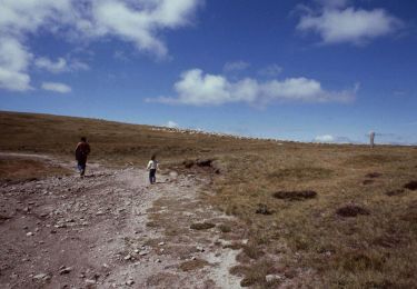 Randonnée A pied Pont de Montvert - Sud Mont Lozère - chemin de Malevrère - Photo