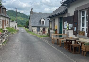 Randonnée Marche Le Falgoux - Cantal puy violent GR - Photo