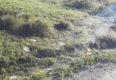 Trail Walking Authon - AUTHON  Faissal. cloches de Barles o l s  - Photo