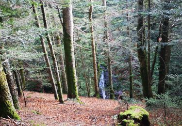 Tocht Stappen Usclades-et-Rieutord - Nord rieutore marche  - Photo