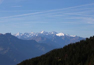 Tocht Te voet Conthey - Bisse de la Tsandra - Photo