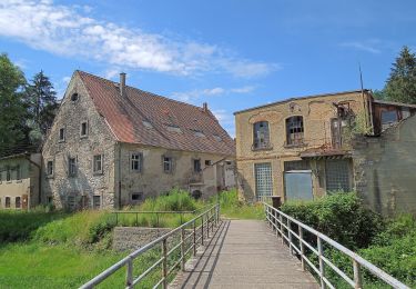 Randonnée A pied Seifhennersdorf - LG-Gelber Strich - Zittau-Seifhennersdorf - Photo