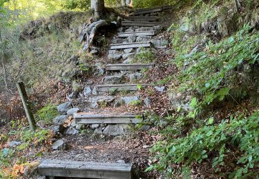 Trail Walking Saint-Sauveur-Camprieu - Col du Faubel par Camprieu le Lac - Photo