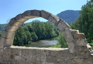 Excursión Senderismo Florac Trois Rivières - de Florac à St Enimie par le Causse de Sauveterre - Photo