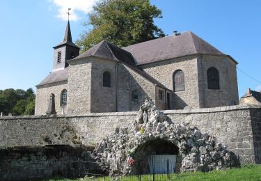 Trail On foot Viroinval - Haute Roche - Photo