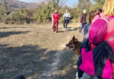 Trail Walking Valaurie - gym 02 03 22 - Photo