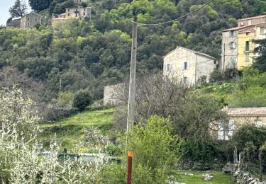 Tour Wandern Rusio - Saint alesio - Photo