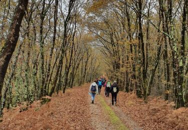 Tour Wandern Le Porge - Le porge - Photo