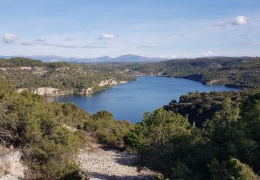 Excursión Bici de montaña Gréoux-les-Bains - 04 - Gréoux-les-Bains- les Mauras - plage de St Julien - Photo