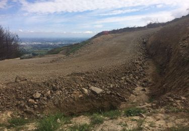 Trail On foot Spreydon-Cashmere Community - Hiking trail - Photo