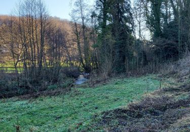 Trail Walking Namur - Gelbressee 311221 - Photo